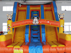Disney Inflatable Water Slide Y