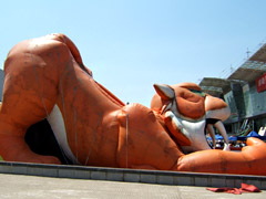 Tigers' Inflatable Water Slide 