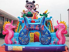 Inflatable Water Climbing Slide